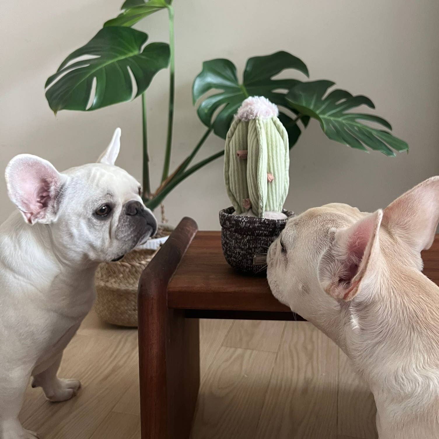 Lambwolf Collective - CACTUS // Enrichment Dog Toy