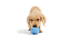 Load image into Gallery viewer, Woof - The Pupsicle - Stockist Exclusive French Blue: X-Large
