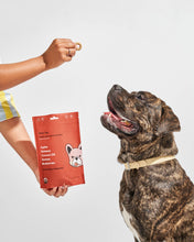 Load image into Gallery viewer, Wild One Organic Vegan Baked Dog Treats - Fruit Salad
