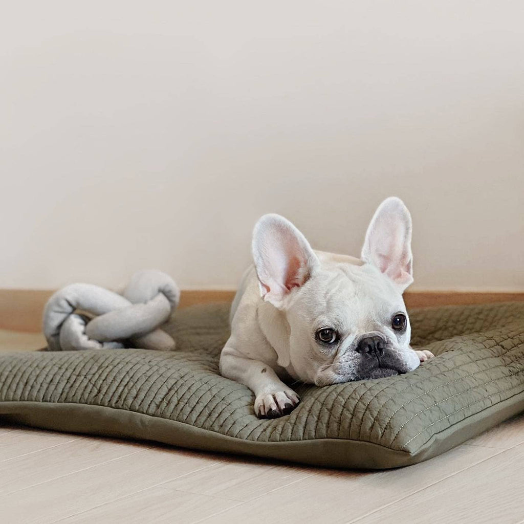 Lambwolf Collective - NOU | with Crinkle Clusters // Enrichment Dog Toy - Taupe