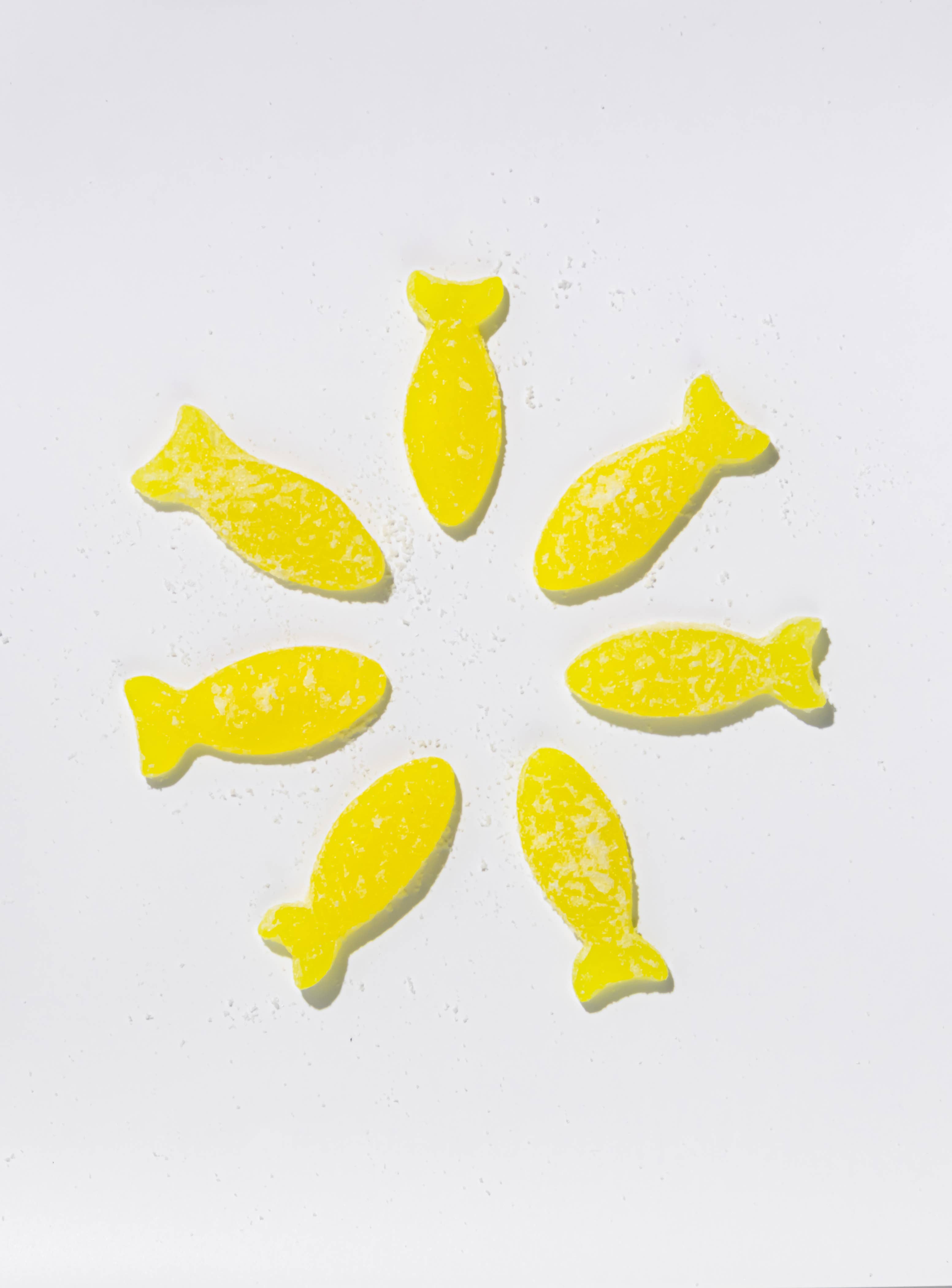 BonBon NYC - Sour Elderflower Fish - Swedish Candy 5.2oz (150g)