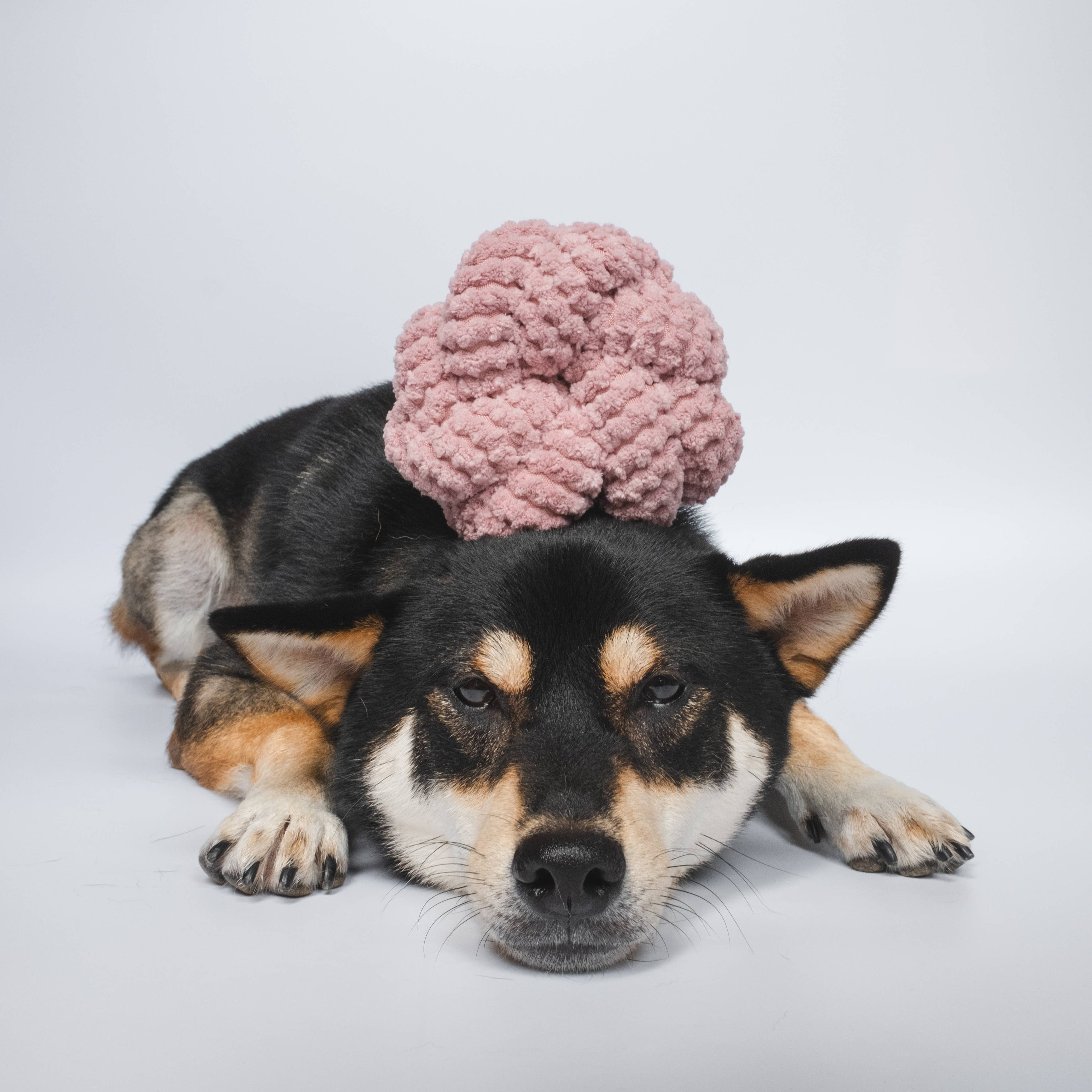 Lambwolf Collective - NOUNOUNOU | Rose with Squeakers // Enrichment Dog Toy