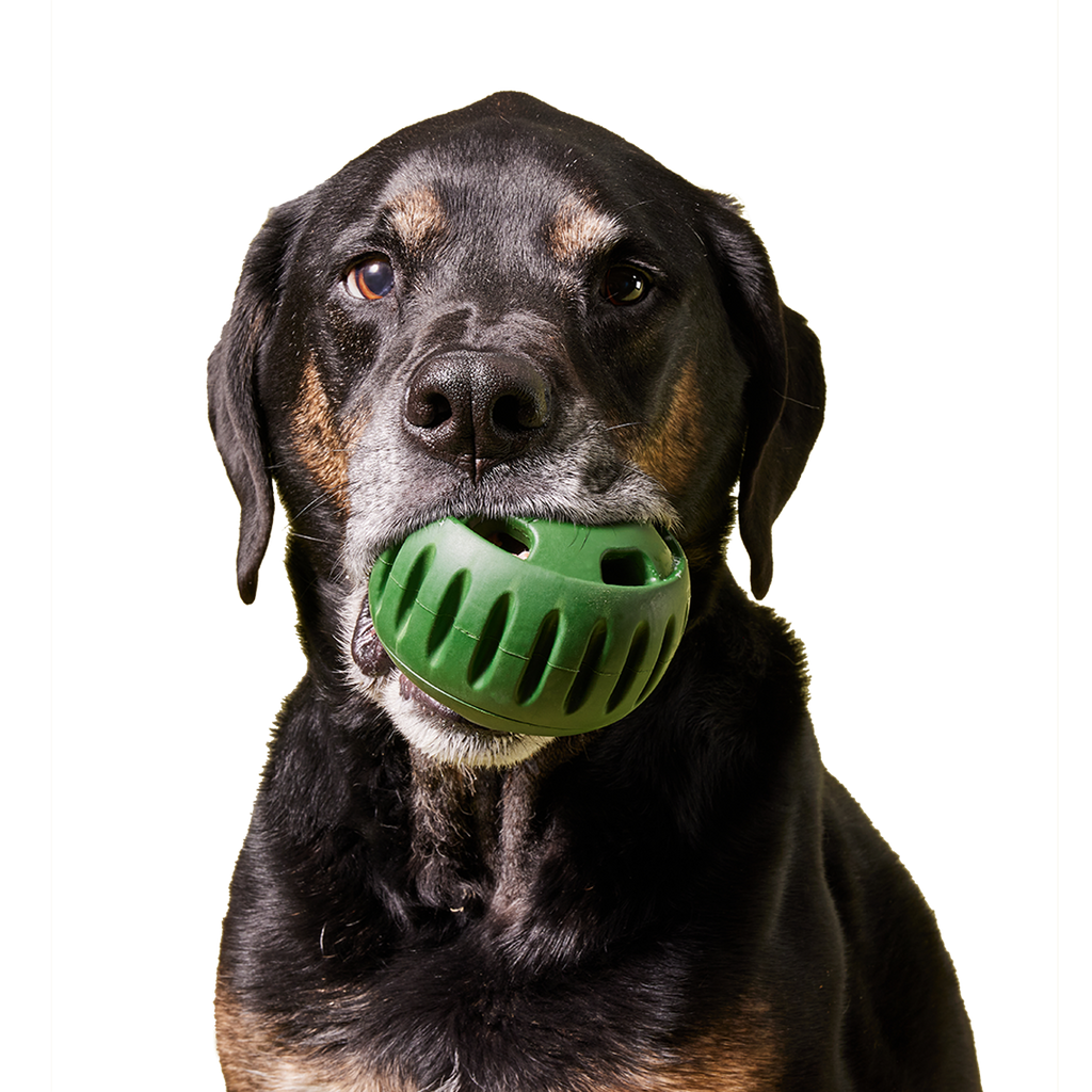 Woof - The Pupsicle - Moss Green: X-Large