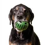 Woof - The Pupsicle - Moss Green: Large