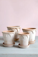 Load image into Gallery viewer, Bergs Potter - Elizabeth Clay Pot + Saucer
