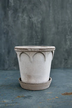Load image into Gallery viewer, Bergs Potter - Elizabeth Clay Pot + Saucer
