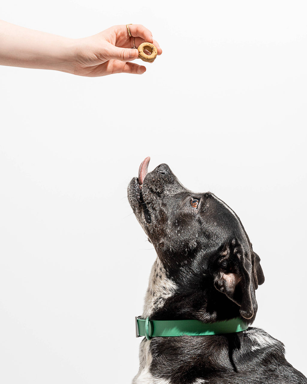 Wild One Organic Vegan Baked Dog Treats - Pumpkin Spice