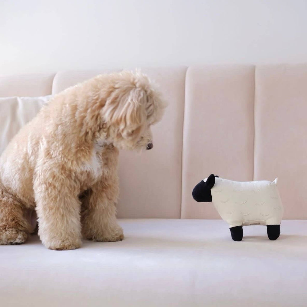 Lambwolf Collective - DOLLY // Squeaker Enrichment Dog Toy - Black Oat