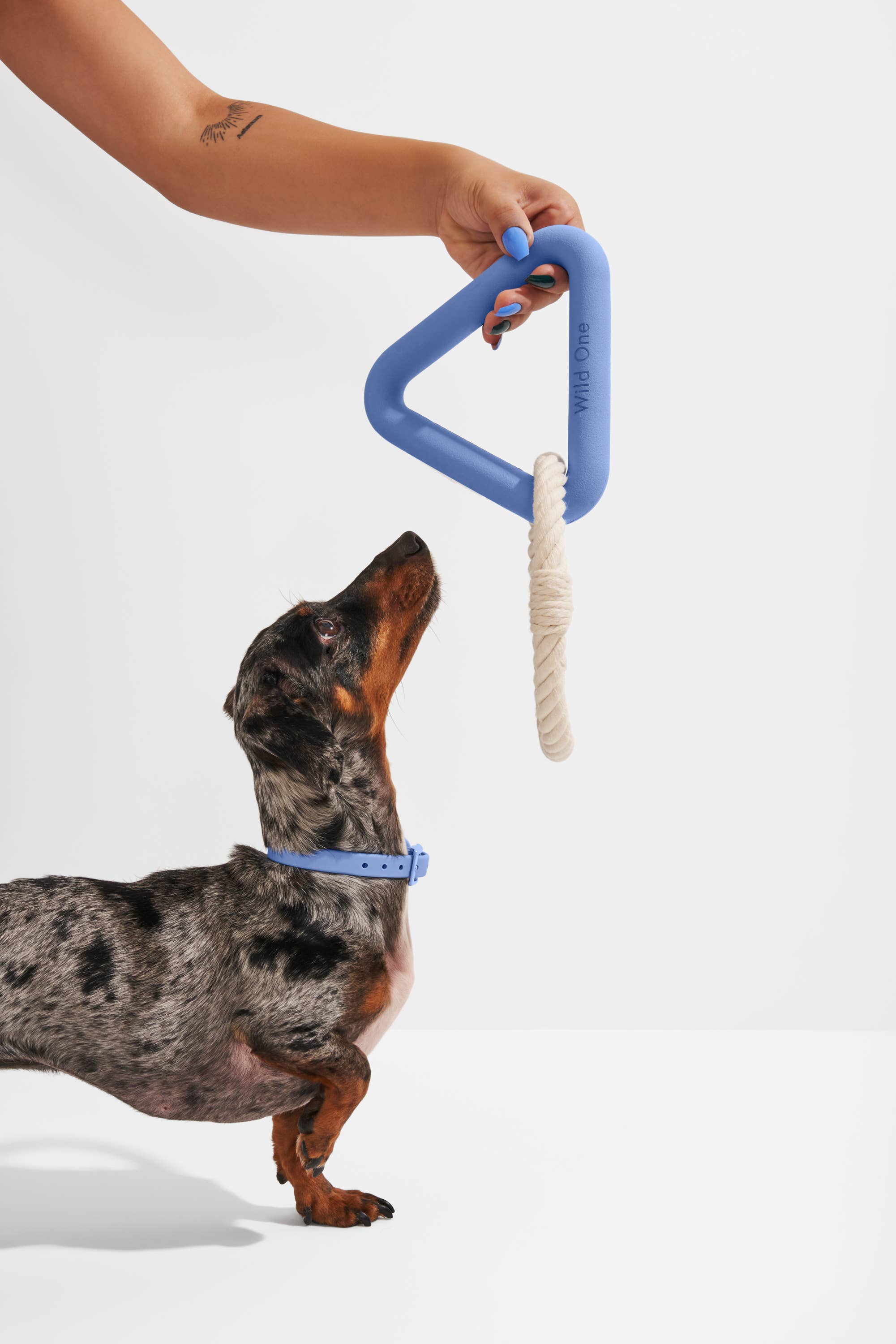 Wild One Triangle Toy - Large | Spruce