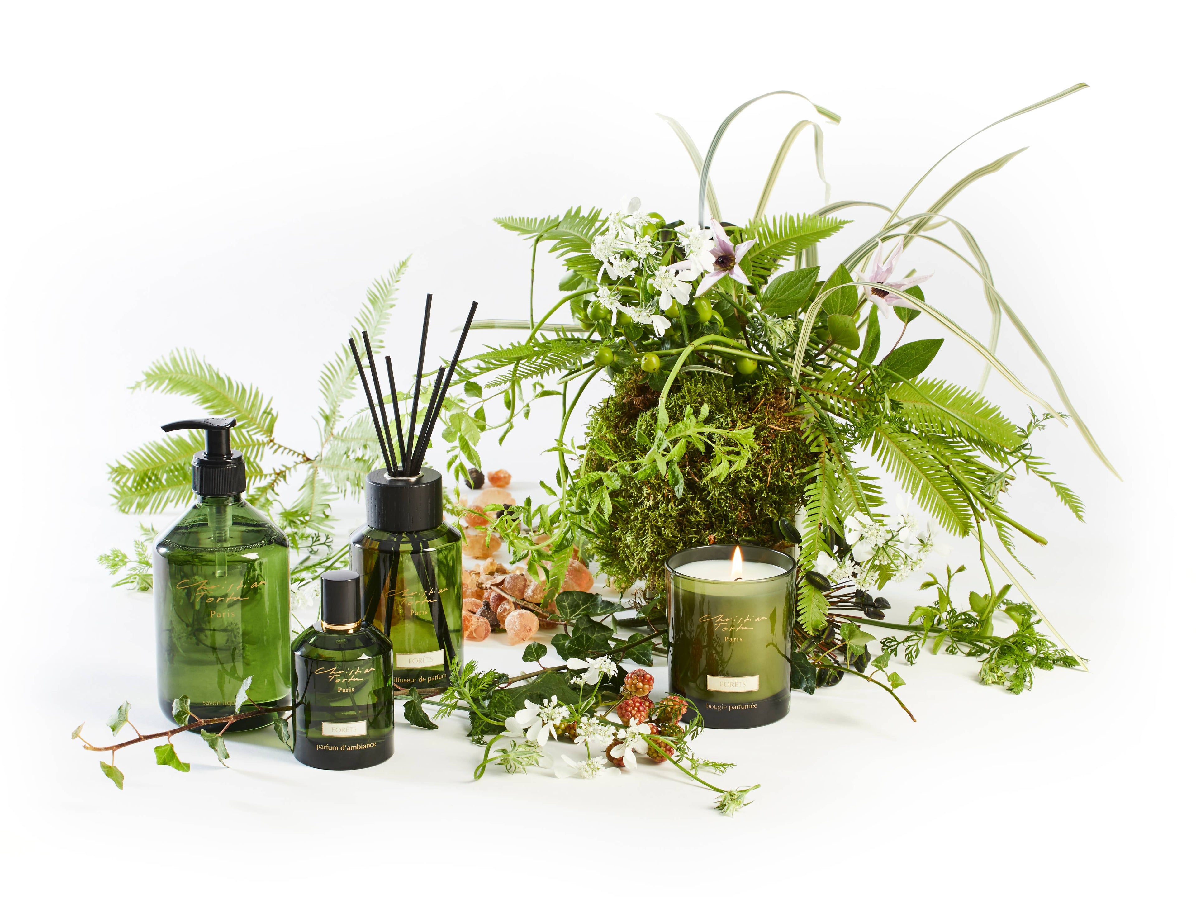Lothantique Inc. - Christian Tortu | Forest Fragrance Diffuser 250ml