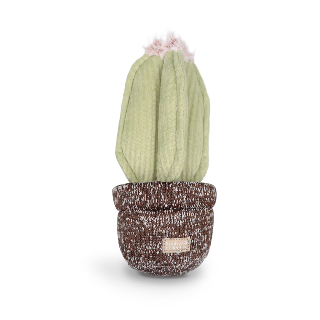 Lambwolf Collective - CACTUS // Enrichment Dog Toy
