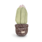 Lambwolf Collective - CACTUS // Enrichment Dog Toy