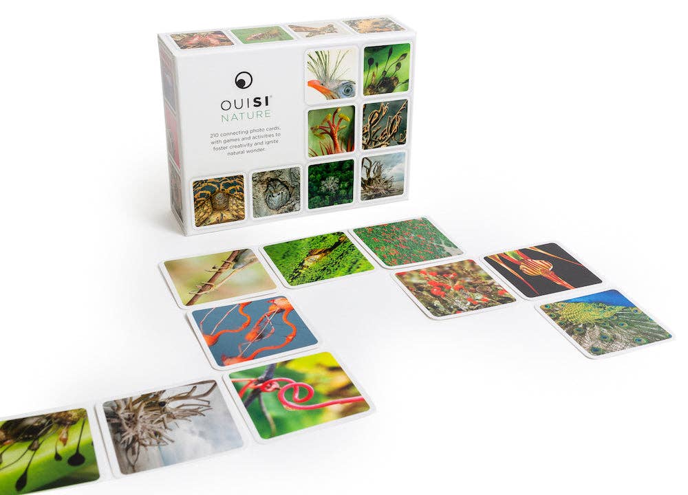 OuiSi Nature: Game of Visual Connection