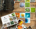 OuiSi Nature: Game of Visual Connection