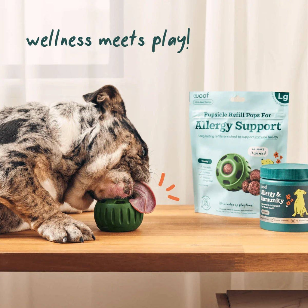 Woof - Allergy & Immunity Wellness Pops: Large