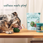 Woof - Allergy & Immunity Wellness Pops: Large