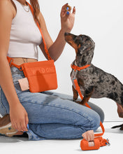 Load image into Gallery viewer, Wild One - Adjustable Waterproof Fashion Dog Collar: Cocoa / SMALL
