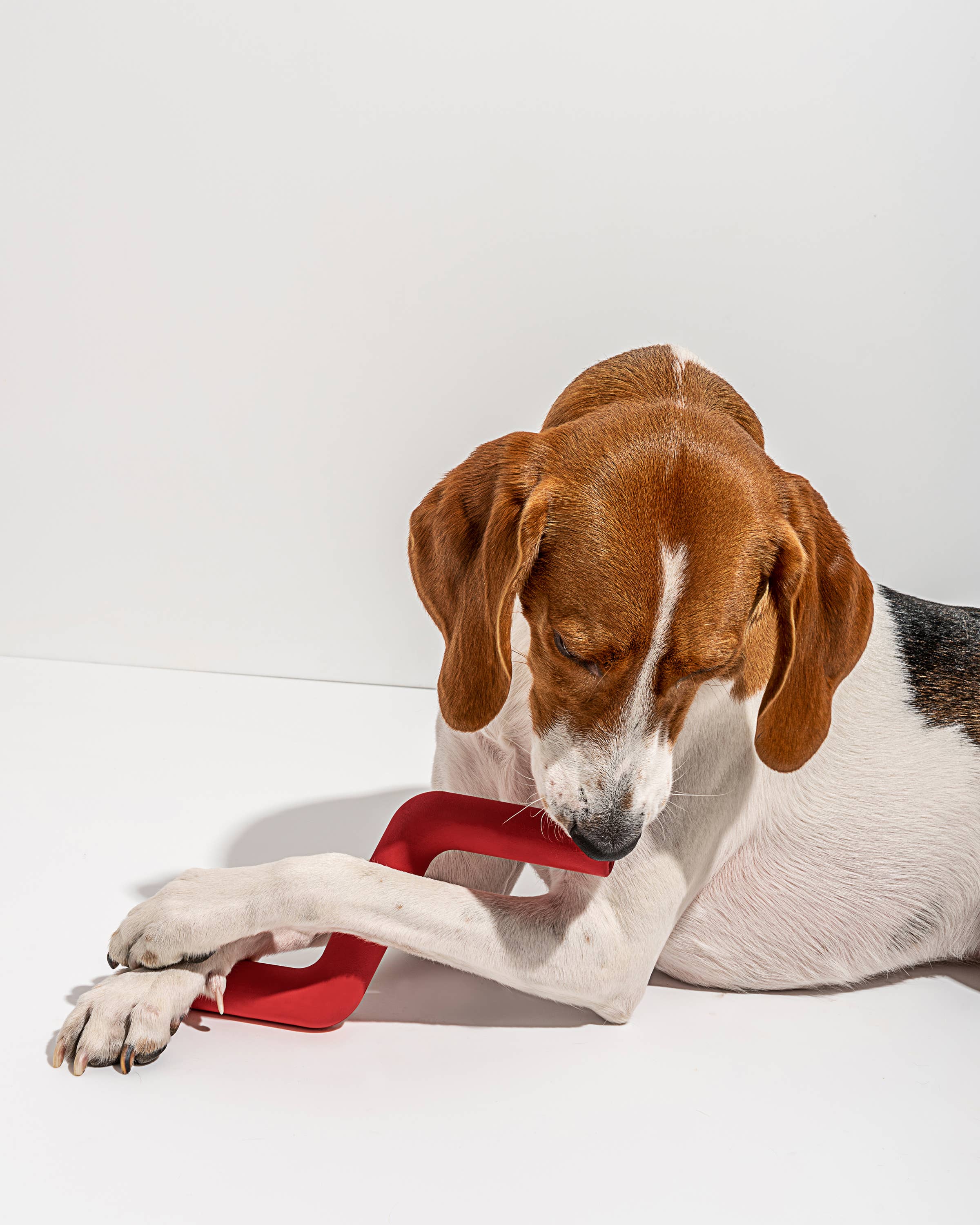 Wild One Bolt Bite Dog Chew Toy: Small | Strawberry
