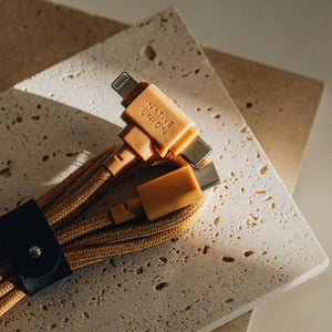 Native Union Paris - Belt Cable Duo (USB-C to USB-C & Lightning): Zebra