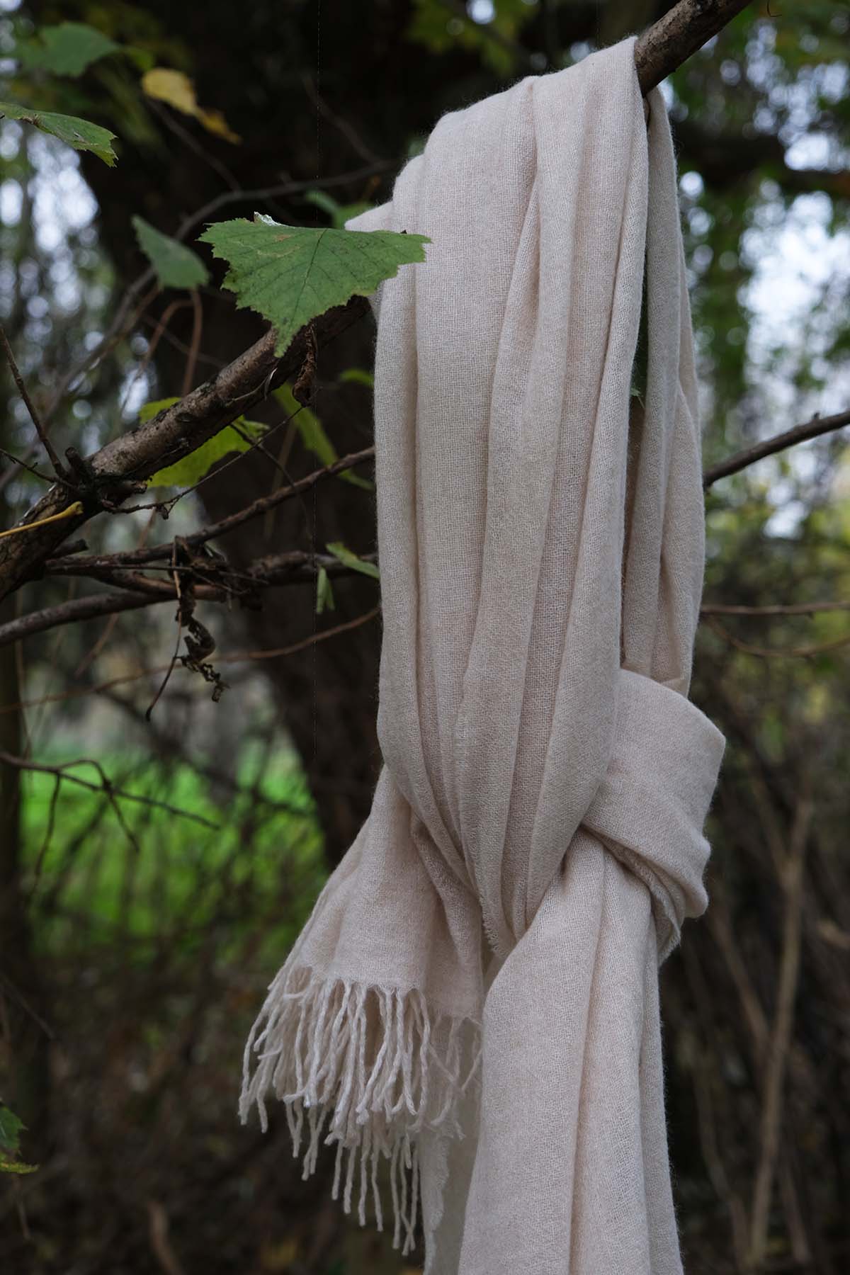 Oats & Rice Airy Cashmere Wrap | Cream