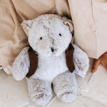 Load image into Gallery viewer, And the Little Dog Laughed Alfred Bear - Medium
