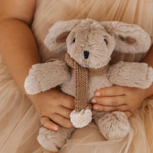 Load image into Gallery viewer, And the Little Dog Laughed Hugh Rabbit - Mini
