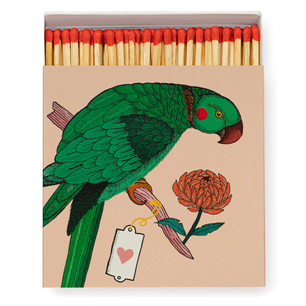 Archivist Matches - Ariane's Parrot