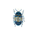 Trovelore Blue Mint Beetle Brooch