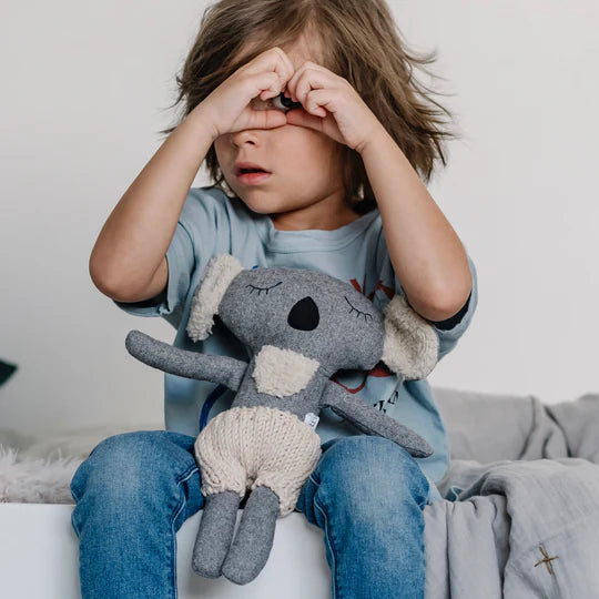 And the Little Dog Laughed Fergus Koala