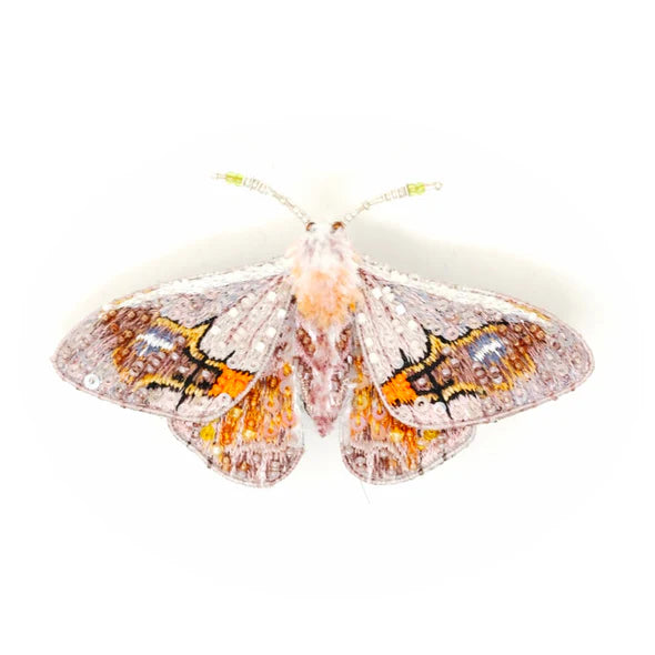 Trovelore Drepanid Moth Brooch