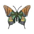 Trovelore Emporer of India Butterfly Brooch