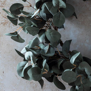 Abigail Ahern - Eucalyptus Wreath