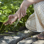 The Floral Society - Japanese Hori Hori Garden Knife