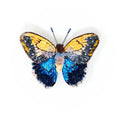 Trovelore Giant Owl Butterfly Brooch