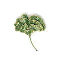 Trovelore Gingko Leaf Brooch