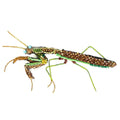 Trovelore Green Mantis Brooch