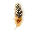 Trovelore Guinea Feather Brooch