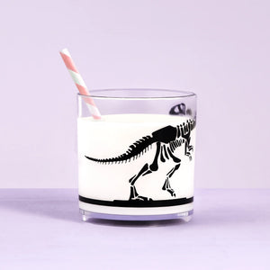 HAM Break-Resistant BPA Free Tumbler - Dinosaur Rabbit