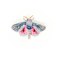 Trovelore Hubbard's Small Silk Both Brooch
