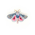 Trovelore Hubbard's Small Silk Moth Brooch