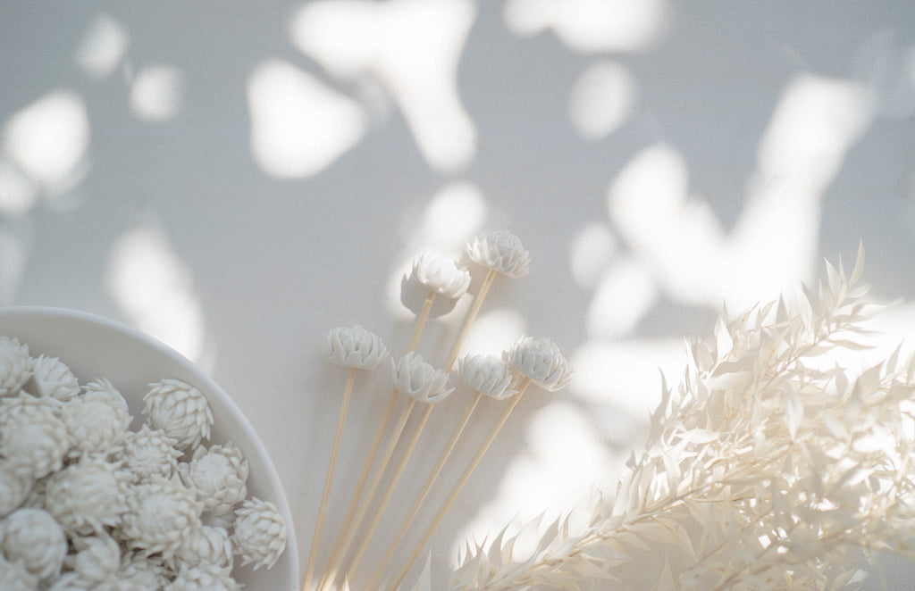 Purely Porcelain Diffuser Flowers | Glazed King Protea | Small