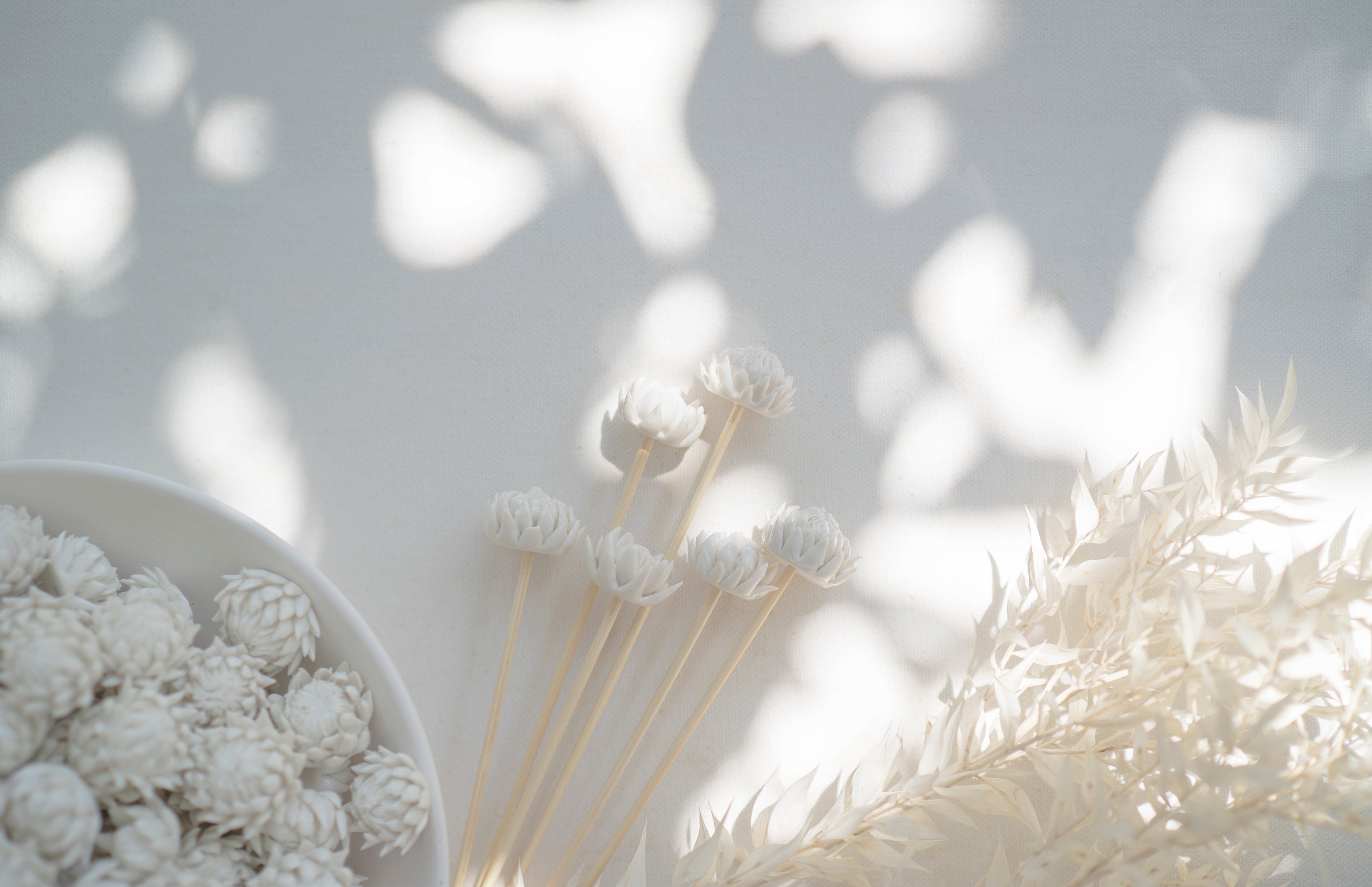 Purely Porcelain Diffuser Flowers | Glazed King Protea | Small