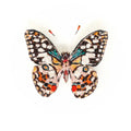 Trovelore Lime Swallowtail Butterfly Brooch