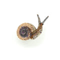 Trovelore Melting Snail Brooch