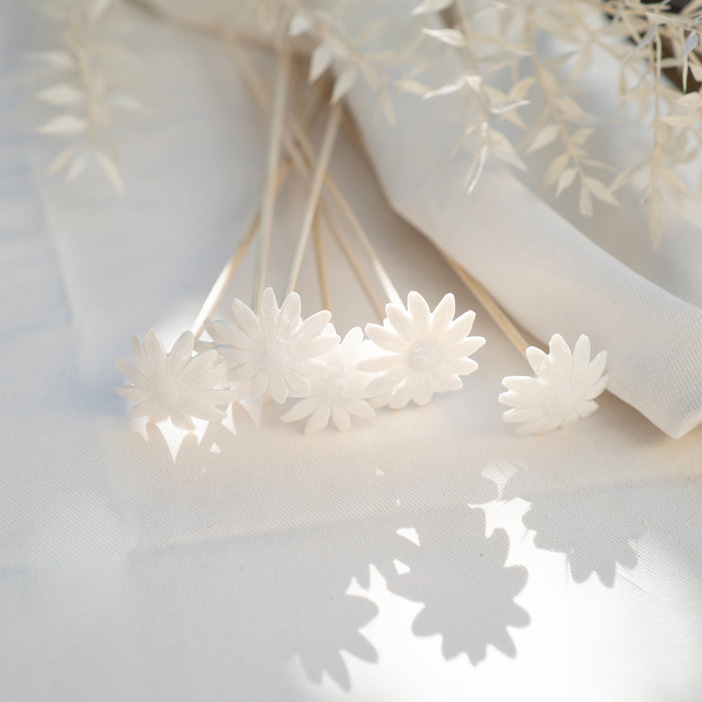 Purely Porcelain Individual Diffuser Flower | Namaqua Daisy