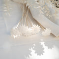 Purely Porcelain Individual Diffuser Flower | Namaqua Daisy