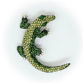 Trovelore Nile Crocodile Brooch