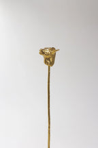 CÂPÂ Cow Skewer