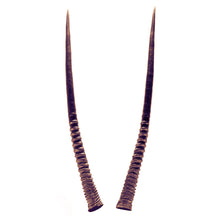 Load image into Gallery viewer, Oropopo Oryx Horn Wrap Bracelet | Gold
