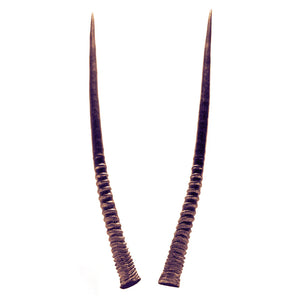 Oropopo Oryx Horn Wrap Bracelet | Gold